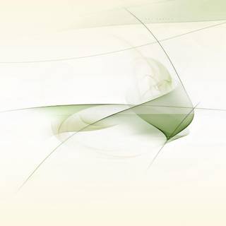 White desktop background