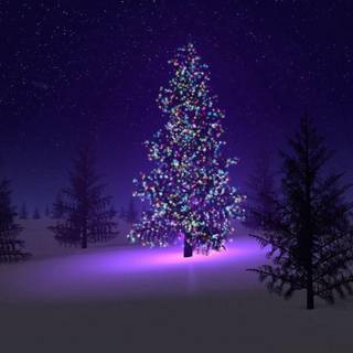 Christmas tree desktop background