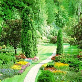 Free spring desktop wallpaper backgrounds