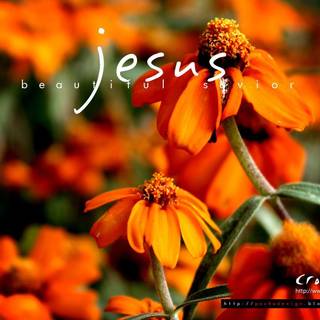 Beautiful pictures of Jesus wallpaper