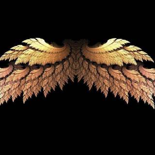Angel wings wallpaper