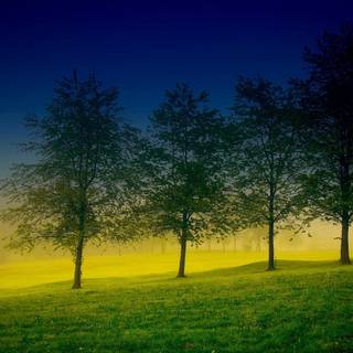 Nature background image