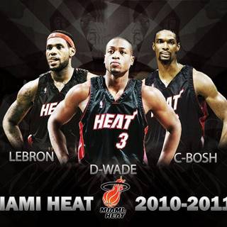 Miami heat wallpaper 2011