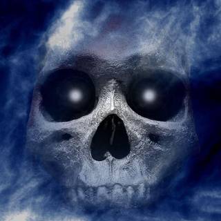 Skull wallpaper free