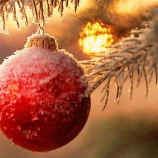 Christmas decorations wallpaper