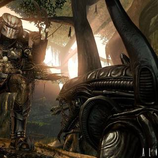 Alien vs Predator wallpaper