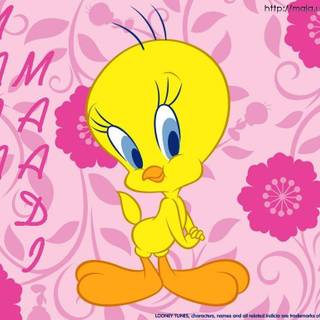 Tweety backgrounds