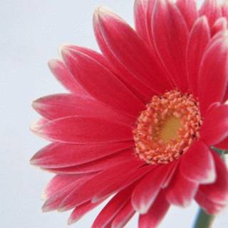 Computer backgrounds free