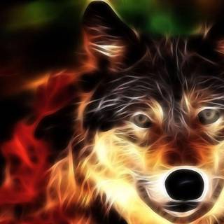 Cool animal backgrounds