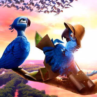 Wallpapers amazing