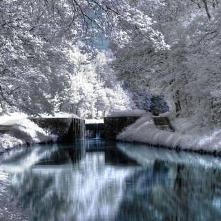 Pretty winter backgrounds