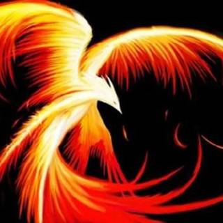 Phoenix bird wallpaper