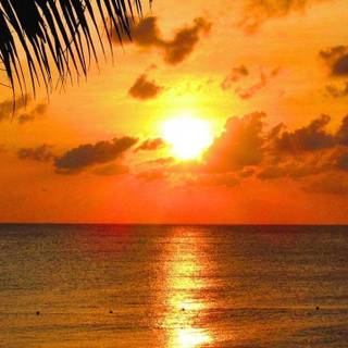 Unique desktop background