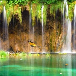 Moving animated wallpaper