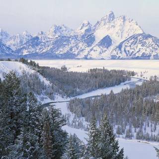 Wallpapers of snowfall