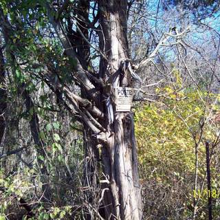 Evil dead 2015 wallpaper