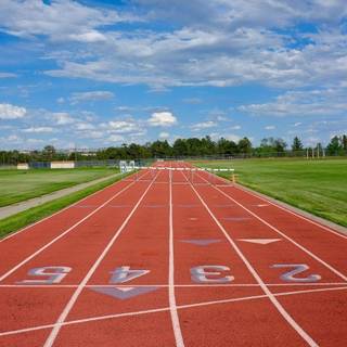 Track and field wallpaper