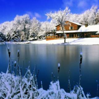 Winter scenes free wallpaper