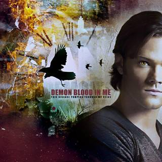 Sam Winchester wallpaper