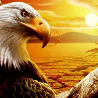 Free eagle wallpaper