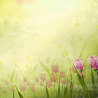Beautiful flower backgrounds