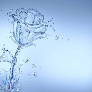 Cool flower backgrounds