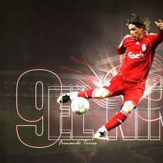 Fernando torres wallpaper 2010