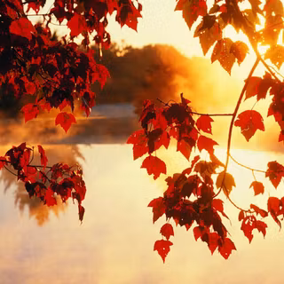 HD desktop backgrounds 1920x1080