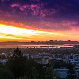 UC Berkeley wallpaper