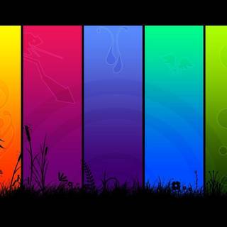 Rainbow color wallpaper