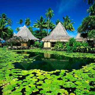 Background desktop images