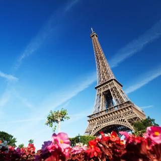 Beautiful eiffel tower pictures