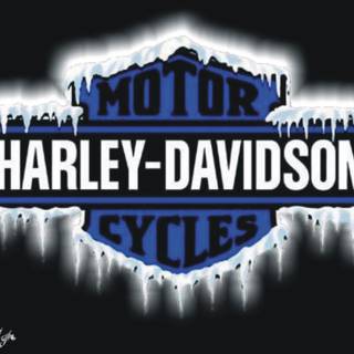 Free harley davidson pictures