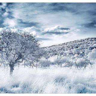 Winter snow backgrounds