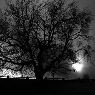 Unbelievable wallpaper