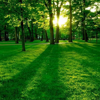 Images for computer wallpaper