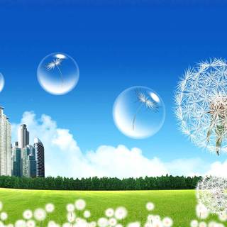 Wallpaper HD for desktop download