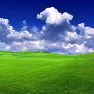 HD grass wallpaper