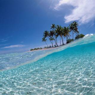 Google screensavers and wallpaper