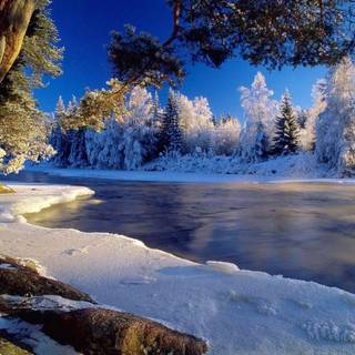 Winter walpaper