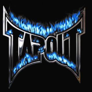 Tapout wallpaper