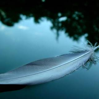 Desktop backgrounds images