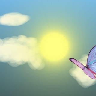 Pretty summer backgrounds