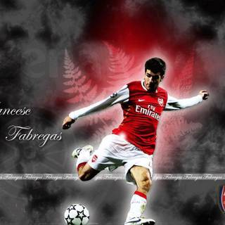 Fabregas wallpaper