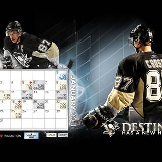 Pittsburgh Penguins background