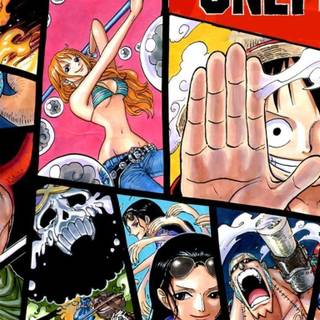 One Piece Crew wallpaper