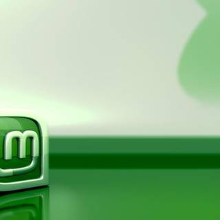 Linux Mint wallpaper