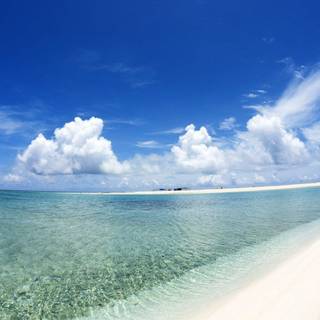 Summer pictures for desktop background