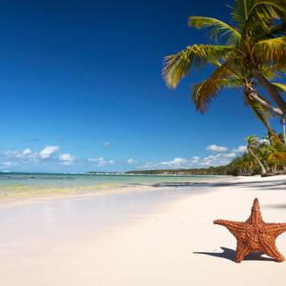 Tropical beach wallpaper