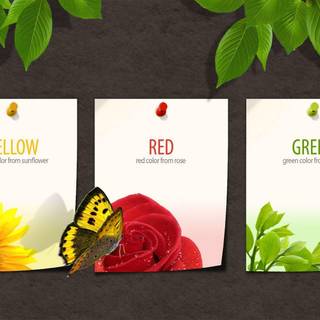 Cute quote backgrounds